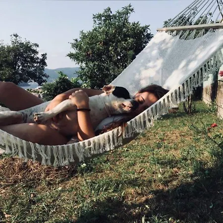 Hogar Pepa Casa de Férias *